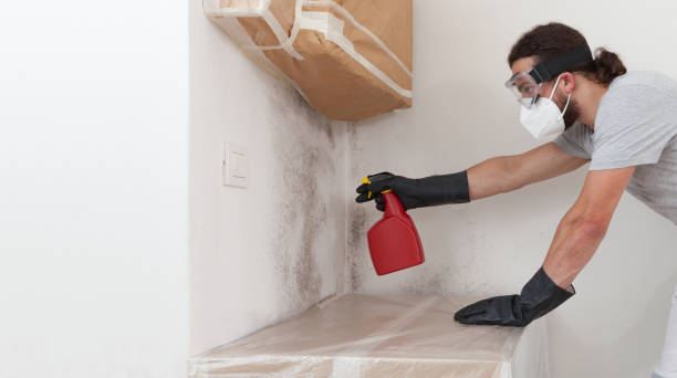 Professional Mold Remediation technician working in Greenlawn, NY